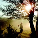 After the Cuts: Scorched earth, or clean slate? (Part I)