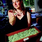 Interview: Alice in Archaeologyland