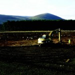 Lanton Quarry: New evidence in northern Northumberland