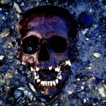 A skull found by a metal detectorist in 2009. Police investigated the scene, before ruling out a recent crime.
