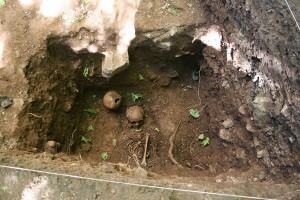 Skulls