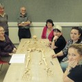 Osteoarchaeology Initiatives