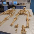 burials in lab