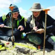 Archaeology in Action