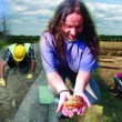 Aspects of Archaeology