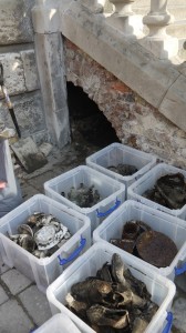 The cache after recovery, boxed up for recording - image: ORNC