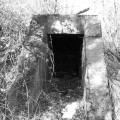 Bunker shot