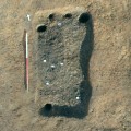 The bustum, with seeds marked with white squares. Photo: Colchester Archaeological Trust