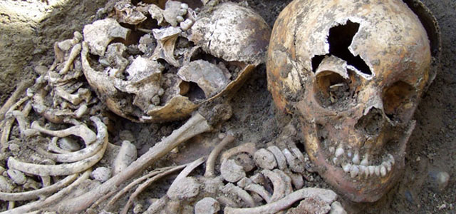 The Kilkenny Workhouse mass burials: an archaeology of the Irish Potato Famine