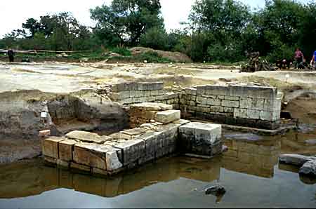 Image Image