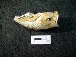 fish clay pipe